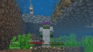 Respiration is crucial for staying underwater (Image via Mojang)